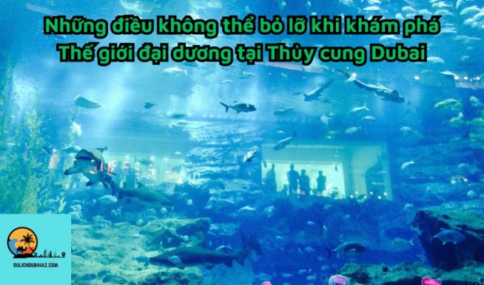 Những điều không thể bỏ lỡ khi khám phá Thế giới đại dương tại Thủy cung Dubai