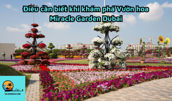 Điều cần biết khi khám phá Vườn hoa Miracle Garden Dubai