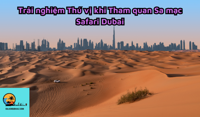 Trải nghiệm Thú vị khi Tham quan Sa mạc Safari Dubai